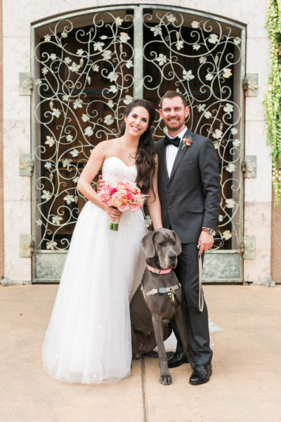 Bride, groom & dog at their Viansa Sonoma wedding